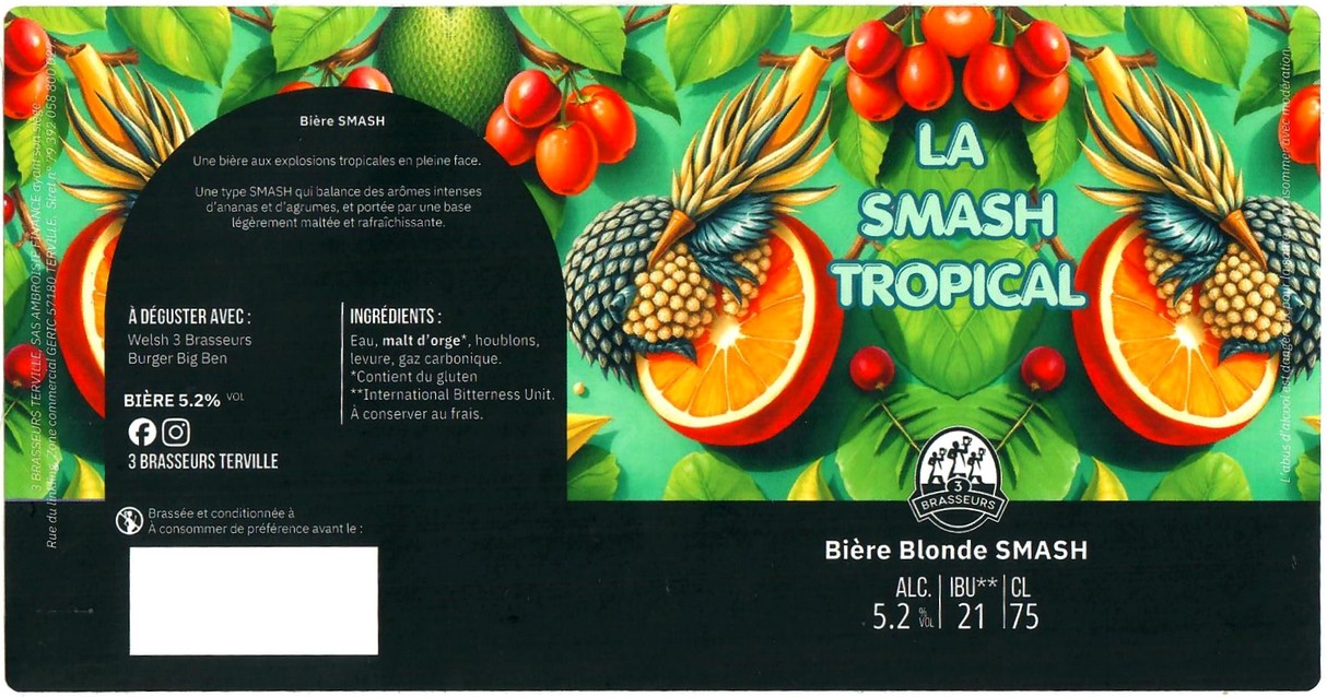 Etiquette BRASSERIE 3 BRASSEURS TERVILLE 14