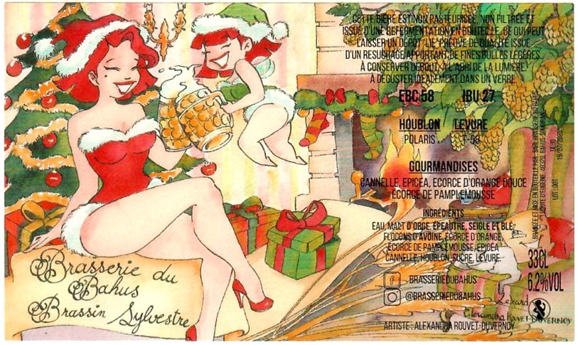 Etiquette BRASSERIE DU BAHUS 13