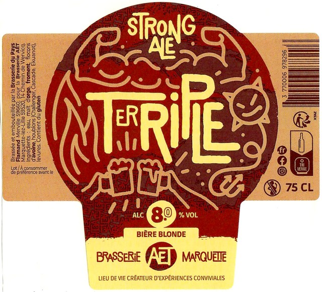 Etiquette BRASSERIE DU PAYS FLAMAND 319