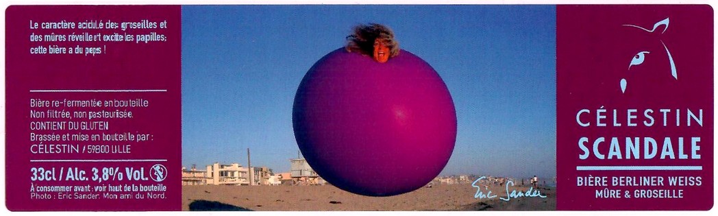 Etiquette BRASSERIE DU VIEUX LILLE 19