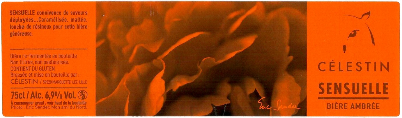 Etiquette BRASSERIE DU VIEUX LILLE 31