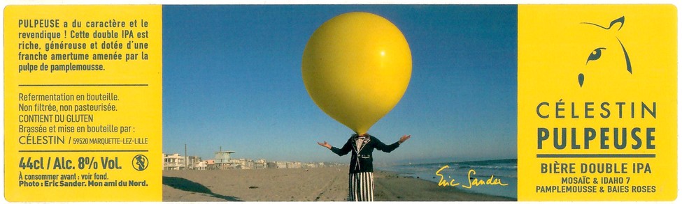 Etiquette BRASSERIE DU VIEUX LILLE 36