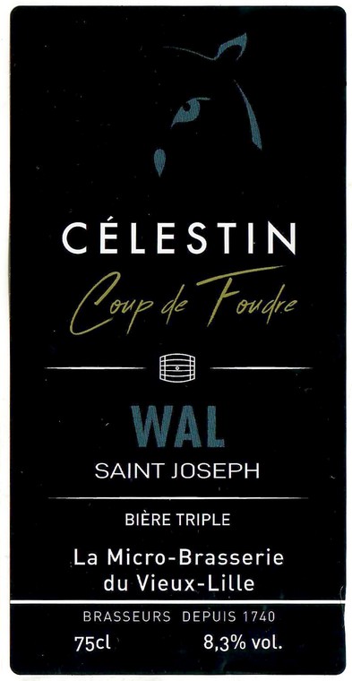 Etiquette BRASSERIE DU VIEUX LILLE 45