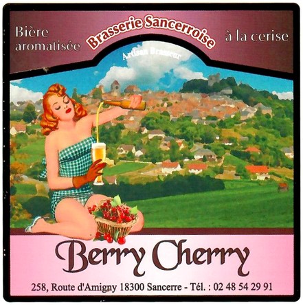 Etiquette BRASSERIE SANCERROISE 38